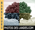 photos des landes, banque de photos sur les Landes